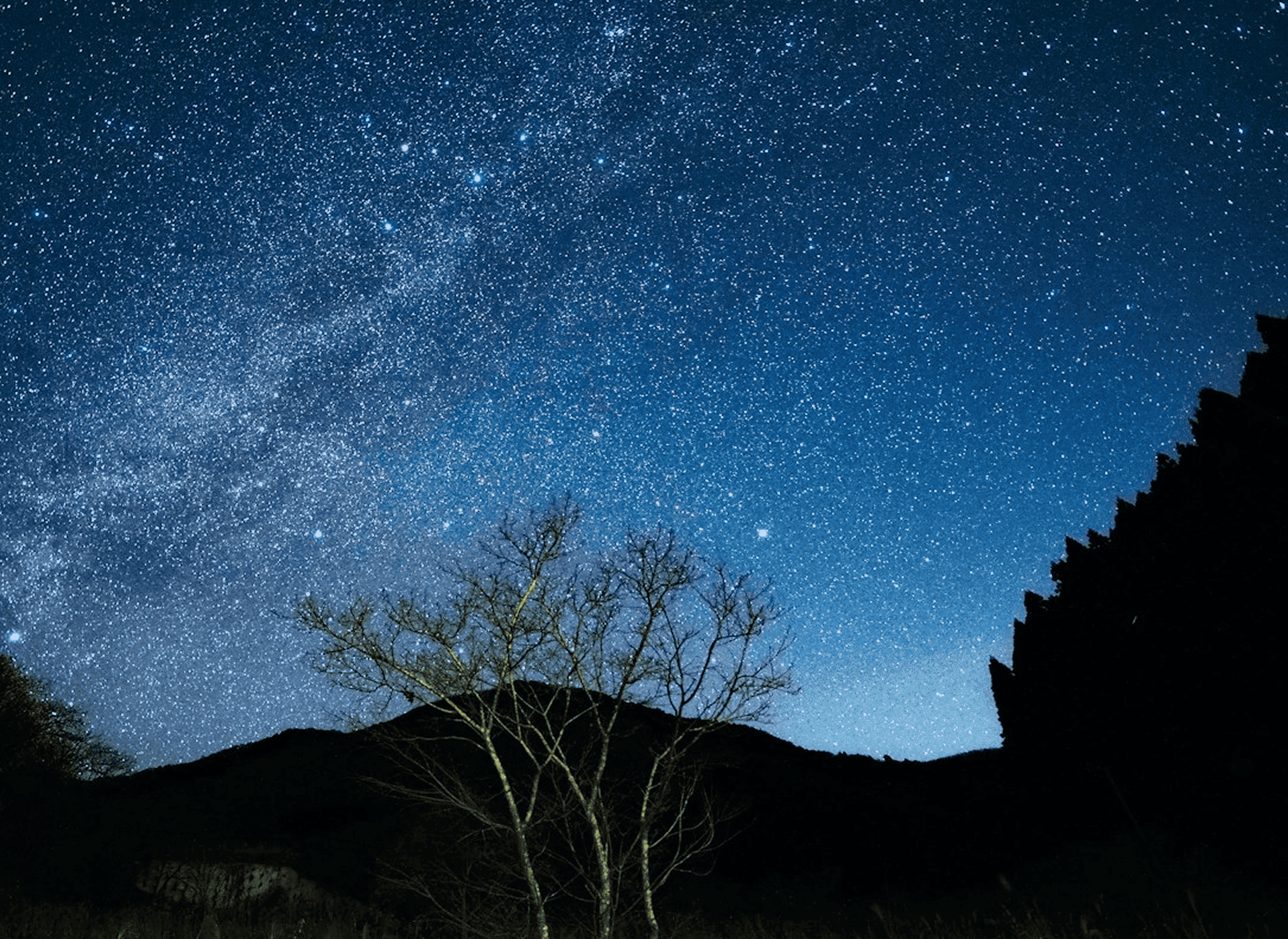 周辺の自然風景